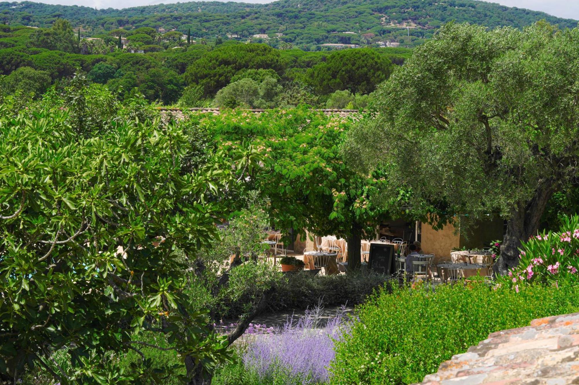Hotel La Figuiere Ramatuelle Exterior foto
